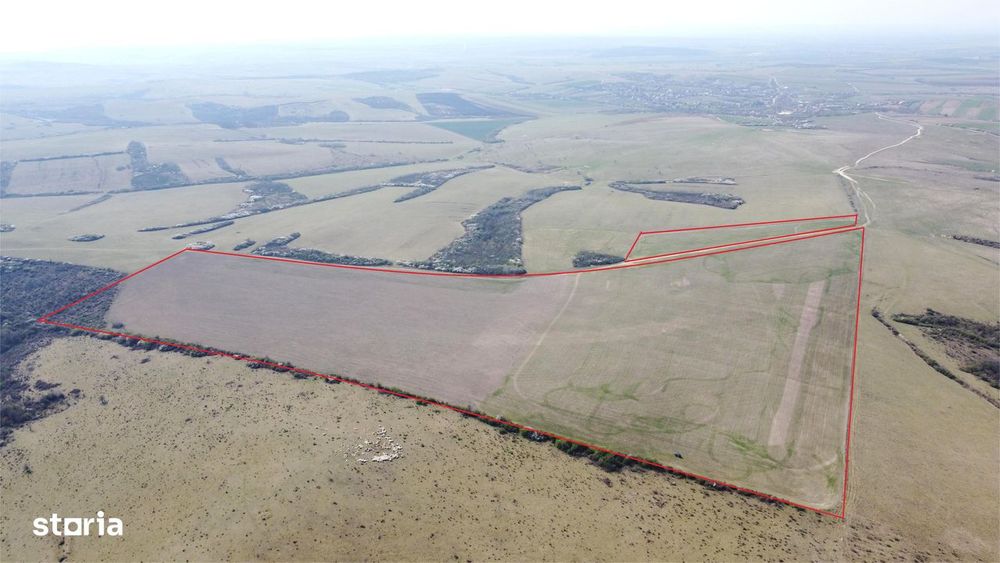 Teren 26.82 ha Ardud | Oportunitate pentru dezvoltare