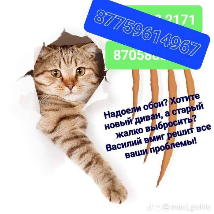 Стулья для кухни обообью и