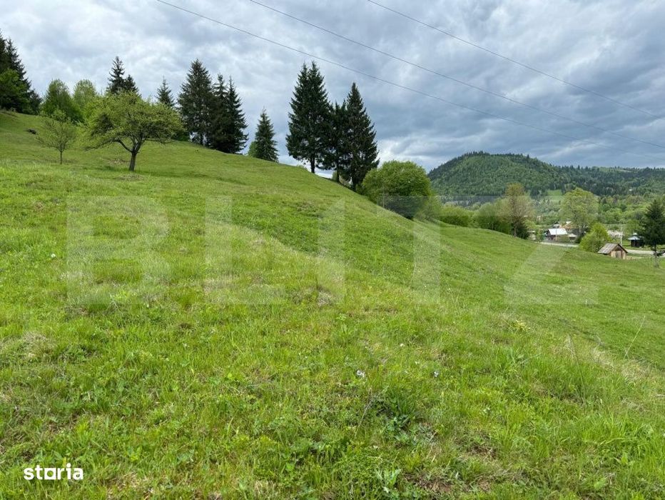 Teren in Vama, 13.050 mp, judetul Suceava, Bucovina, intravilan + extr