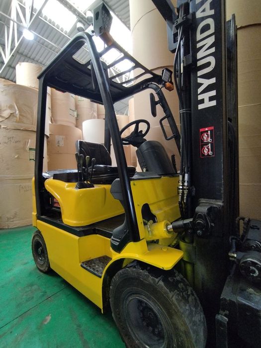 Kar Hundai yili 2010