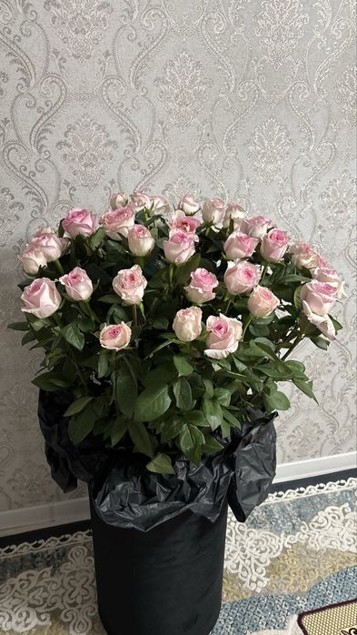 Цветы новый гарантий