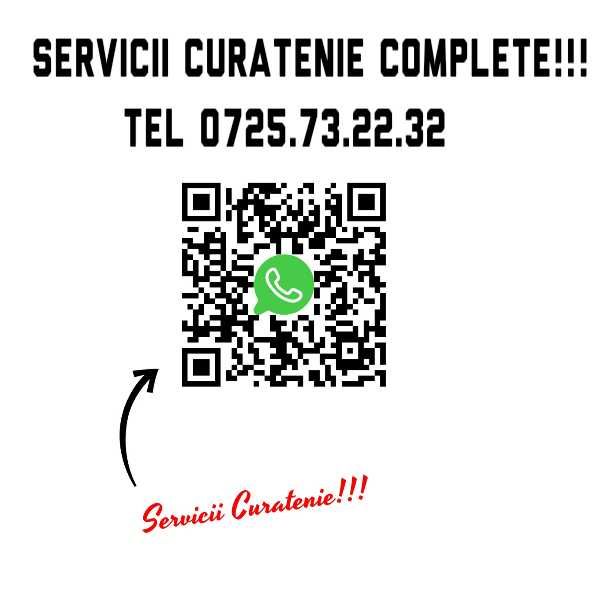 Servicii curatat fatade si garduri