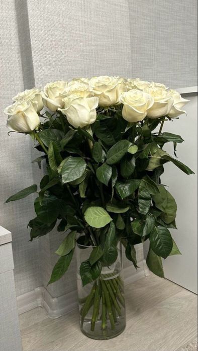 25штук метр роза