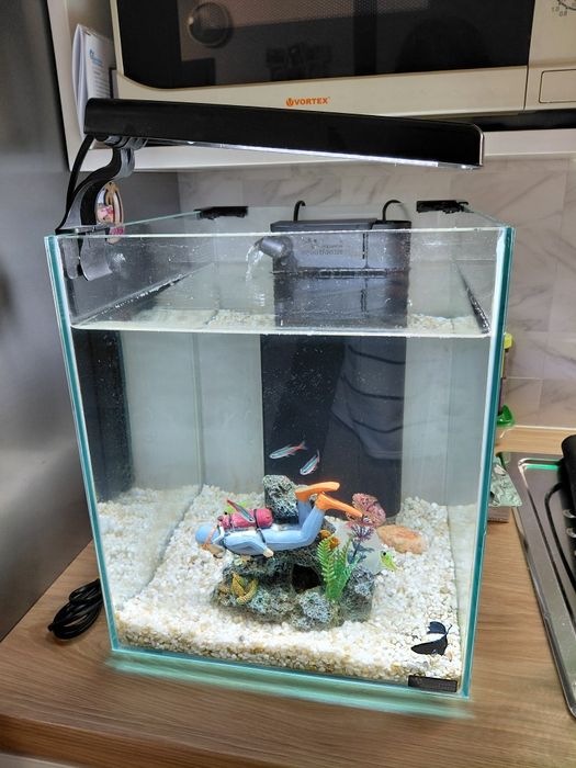 Acvariu 30L   filtru lampa incalzitor