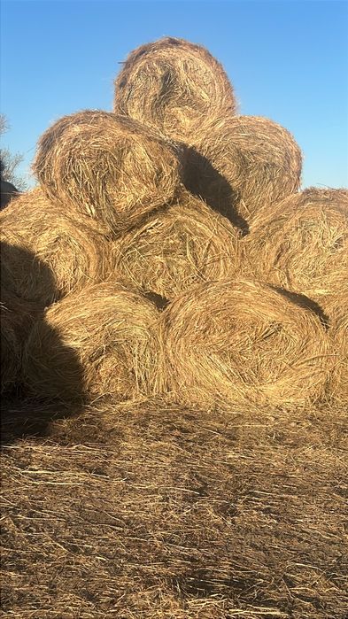 Продажа супеер сена