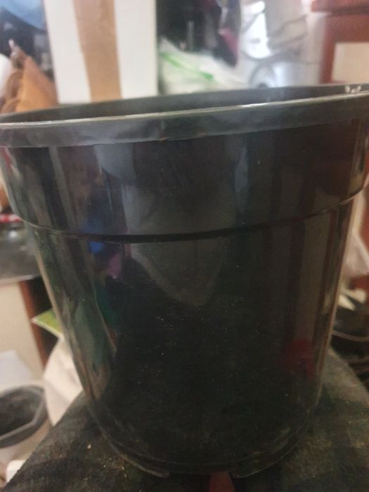 Ghivece de flori mai mari si un cos plastic pentru gunoi