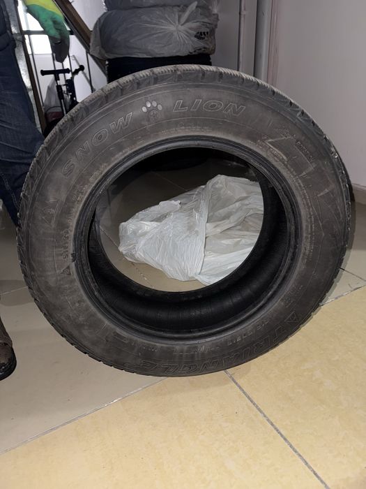 Triangle snow lion зимние шины