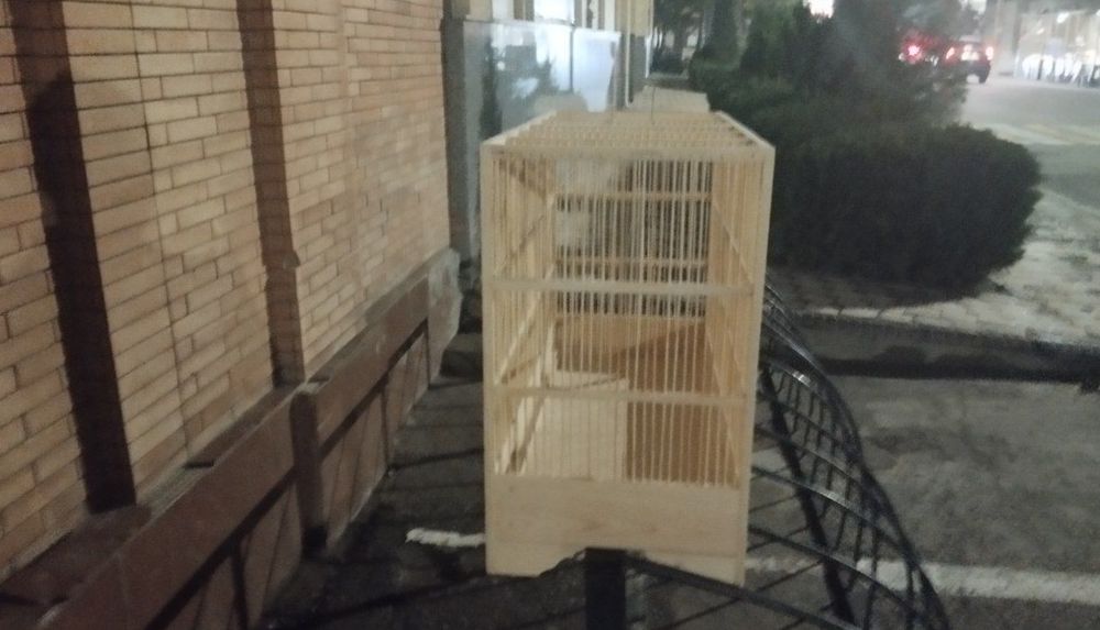 Qafas sotiladi 70×30/50