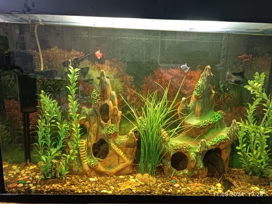 Akvarium 140 litr komplekt hamma narsasi bilan 12 ta baliq bilan
