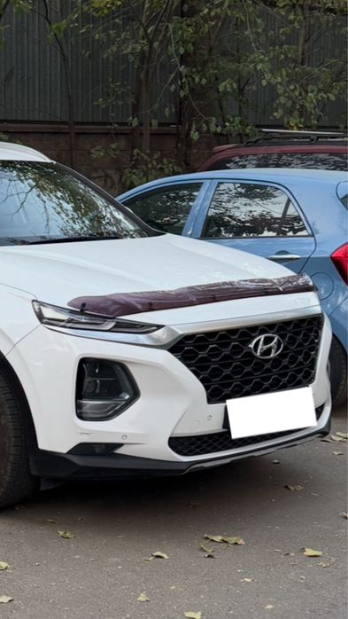 Дефлектор (мухобойка) на санта фе