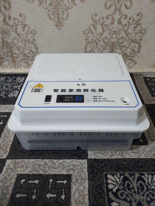 Inkubator Avtomat 64 talik Yangi