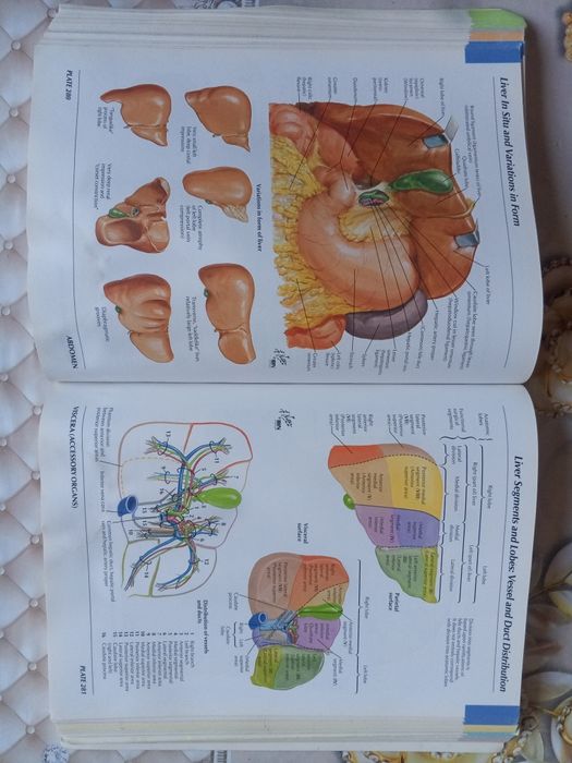 Atlas anatomiyasi sotiladi