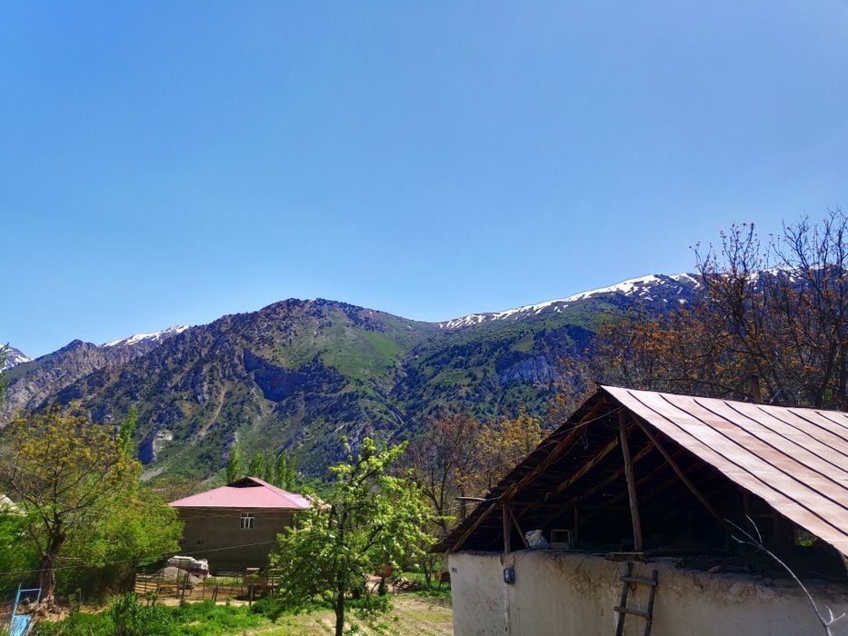 Uchastka sotiladi, Nefrit ko'liga yaqin joyda joylashgan