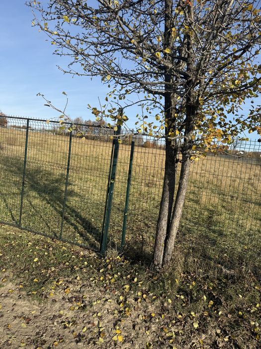 Teren intravilan,investitii,-Mitocas