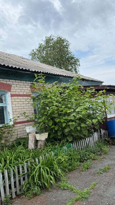 Продам дом в Петерфельде