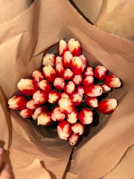 Предзаказы на 8 марта тюльпаны