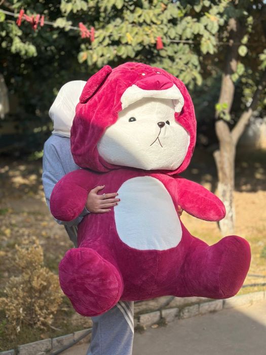 Teddy teddi sifatli va arzon