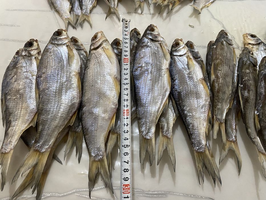 Кепкен вяленный ребец