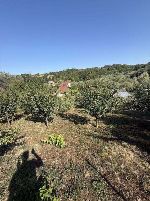 Casa +teren livada si vie 2000MP