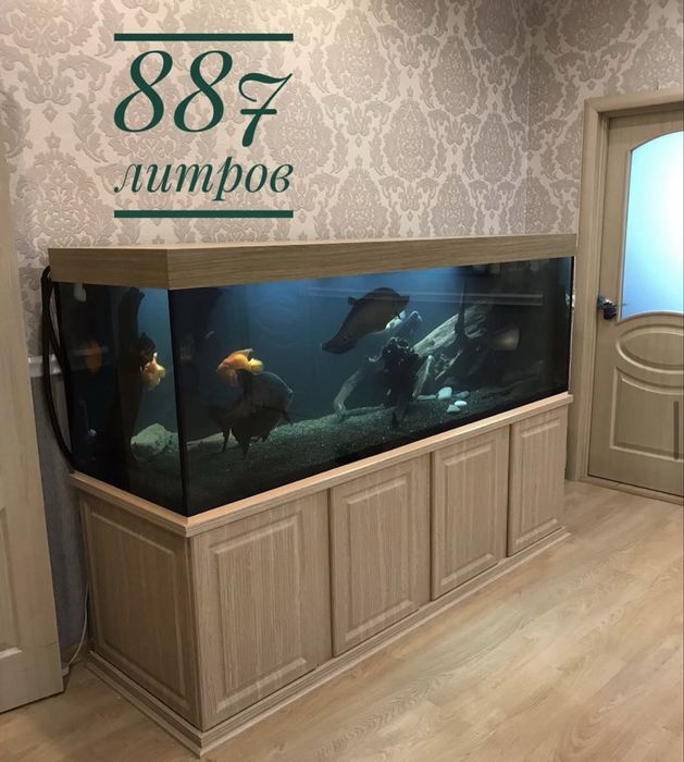 Элитные Аквариумы под заказ