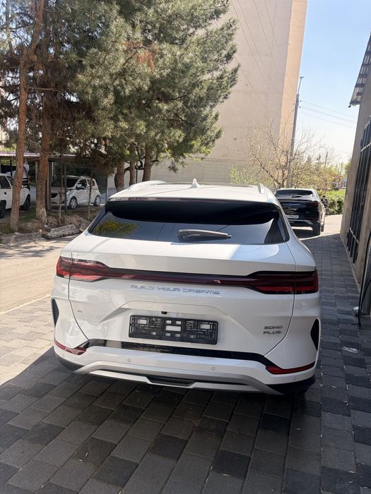 BYD Chempion 2024-йил Офитсалный Топ Тоза Краскаси‼️ 76.000км пробег