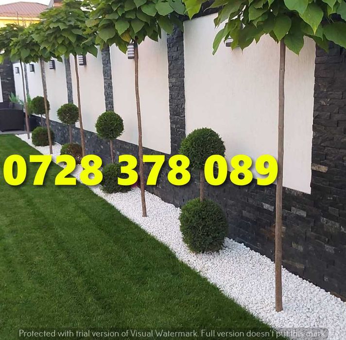 Rulouri de gazon plus Montaj !