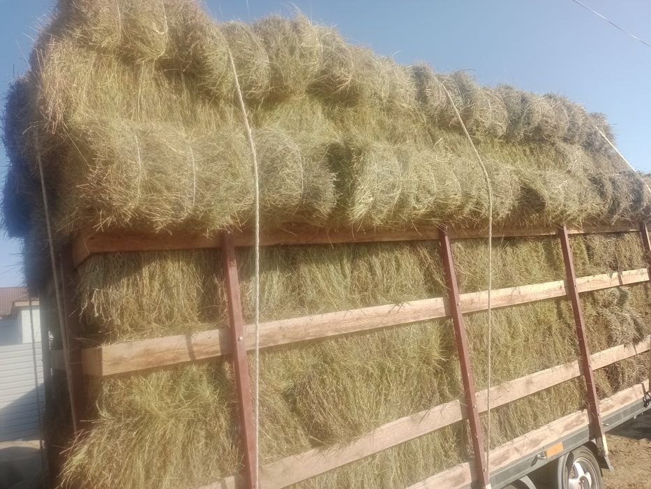 Ірі Түк тюк шөп сатылады