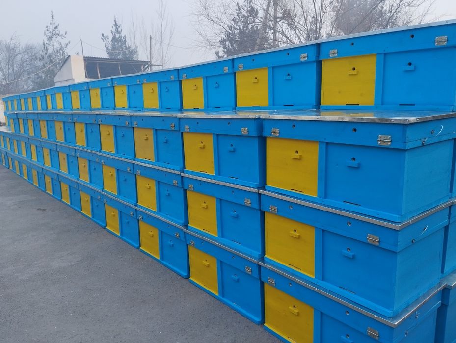 Asalarichilik. Yashiklari