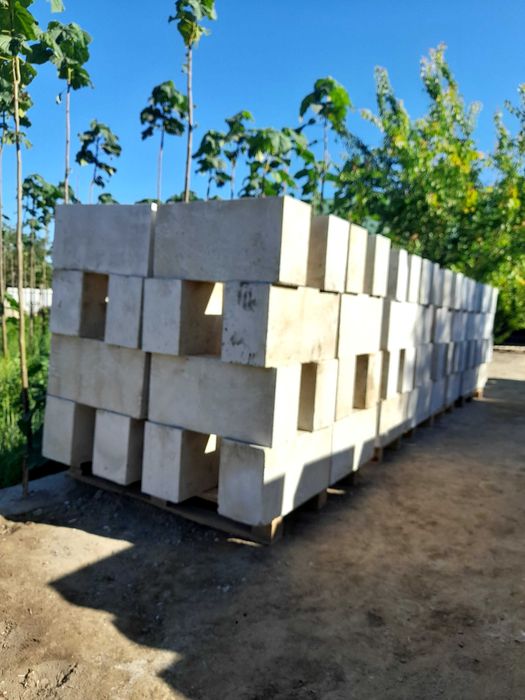 N1 Сифатли пенабулок Когон туманда