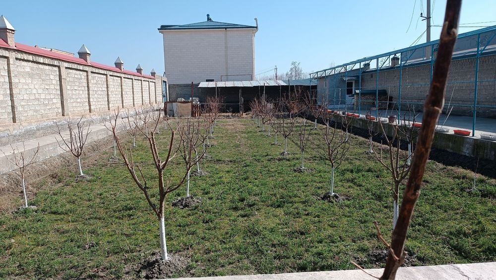 Dahbeddan 18 sutix tayyor uy joy