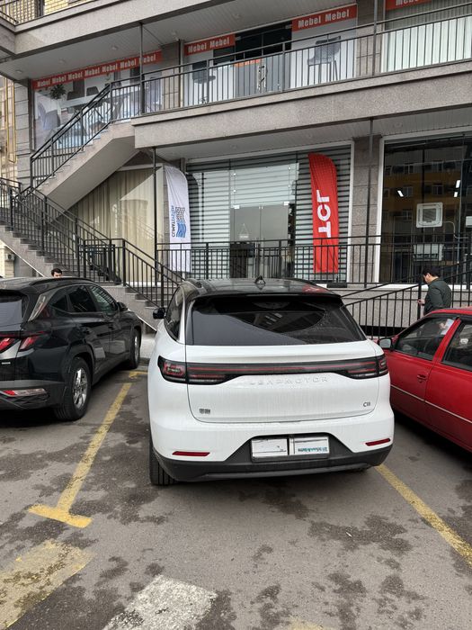 Leapmotor C11 Hybrid 300km Full