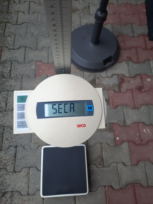 Cantar personal Seca