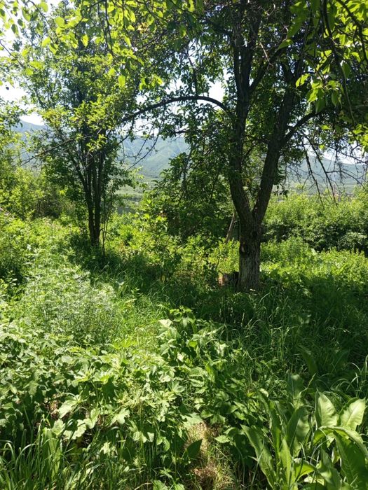 Продам участок….