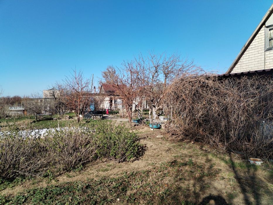 Продам дачу, в Шульбинске