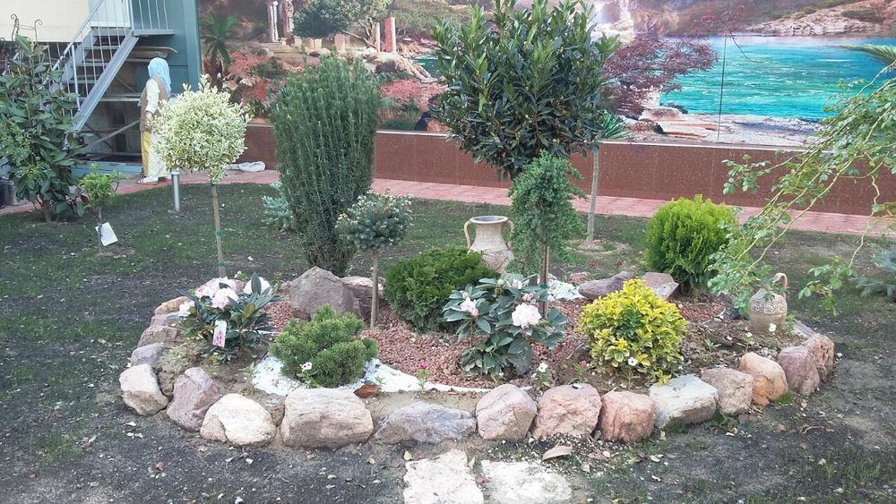 Газоны руллоний оптом смена Дания поливной системи