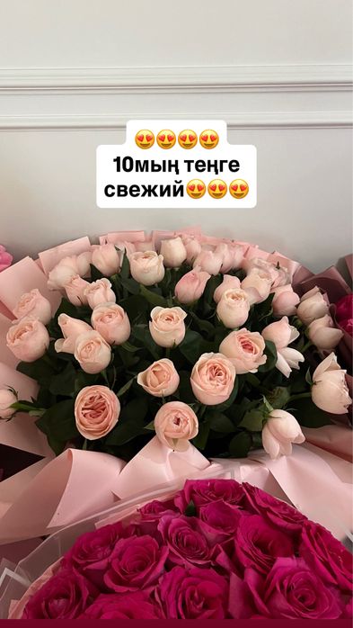 Роза гулдер  51,