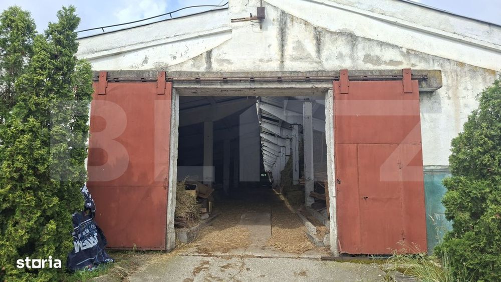 Hale industriale de vanzare, 3000 mp, teren 15000 mp - Maierus