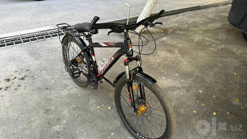 Altezza MA 2410, 24" — 20 martacha minilgan