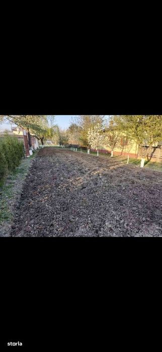 Proprietate mare 2529 mp  casa si anexe