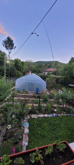 Vand casa la tara