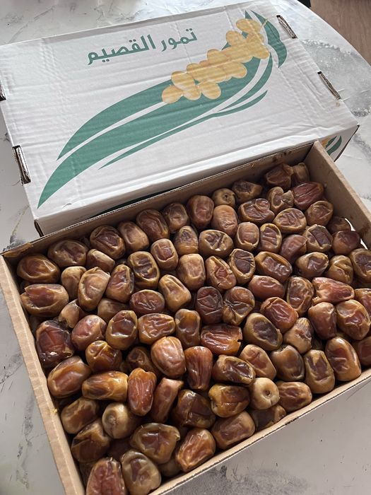 финики суккари в астане