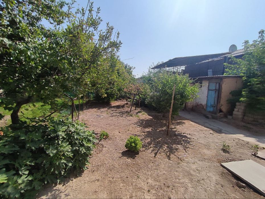 Towken wahri mirzo ulugbek