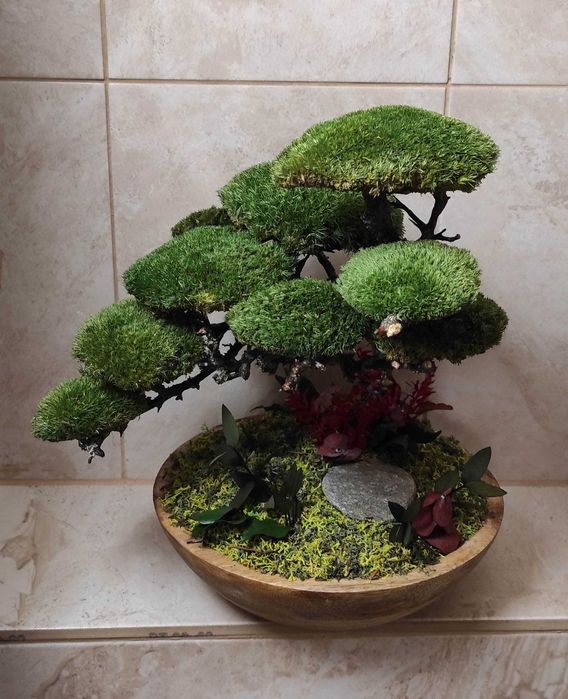 Бонсай със скандинавски мъх и стабилизирани растения!