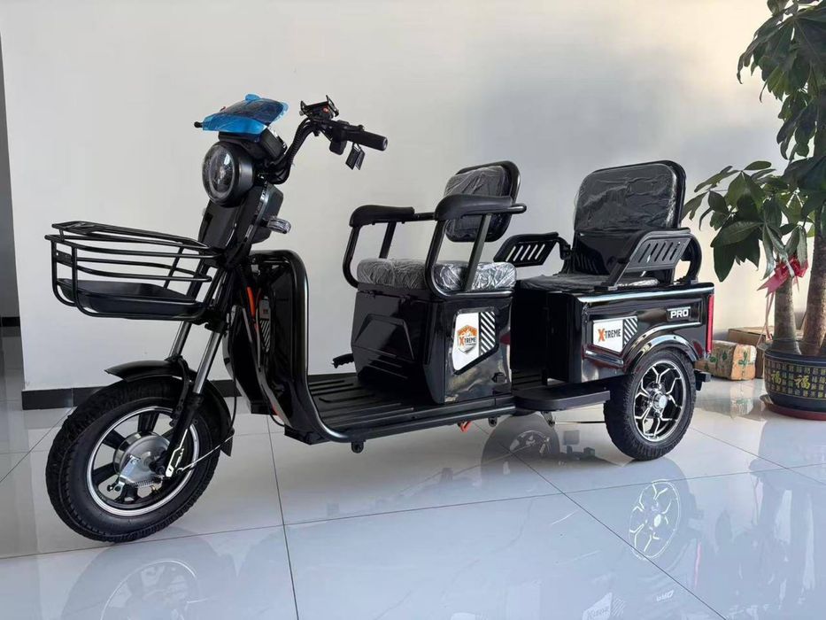 Трицикл X-Treme Pro  оптом и розницу