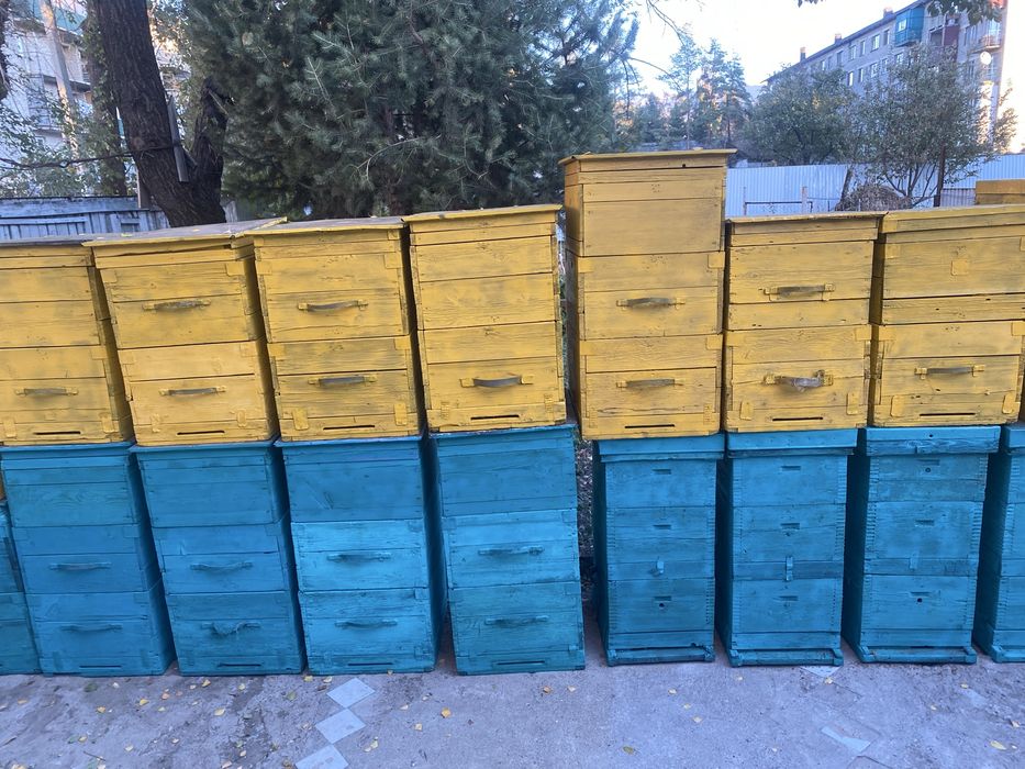 Продам улья для пчел