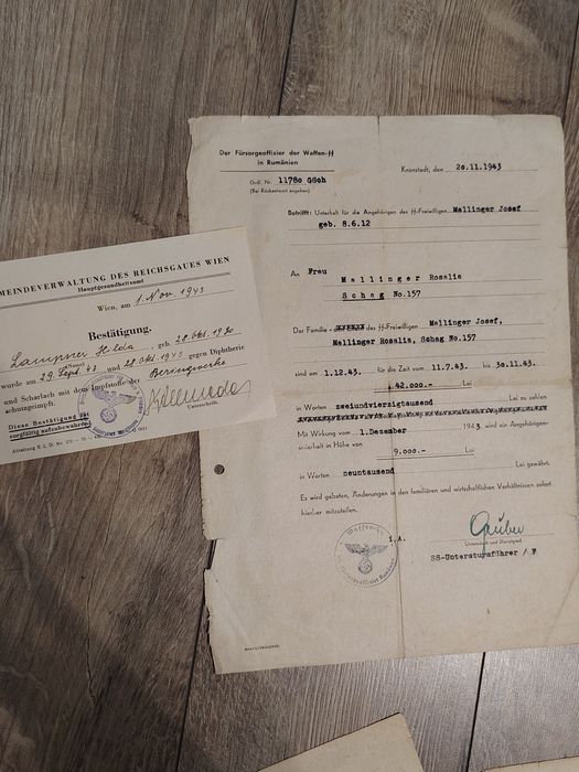 Set documente originale Waffen-SS 1943-1944(ww2) – Volksdeutsche Banat