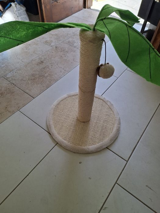 Котешка драскалка