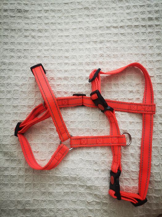 Повод, нагръдник за куче