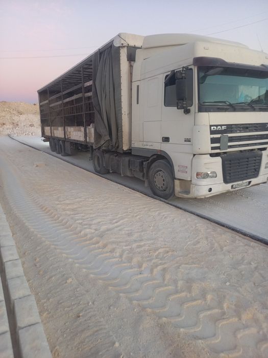 Ракушеблоки из Бейнеу