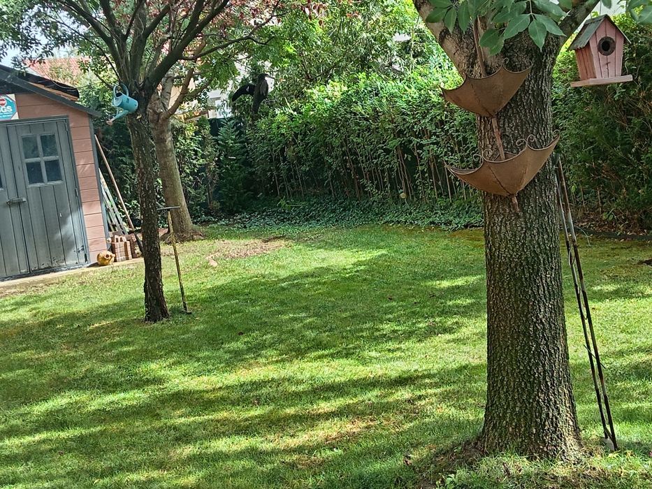 Ofer servicii de întreținere grădini și sisteme de  irigații